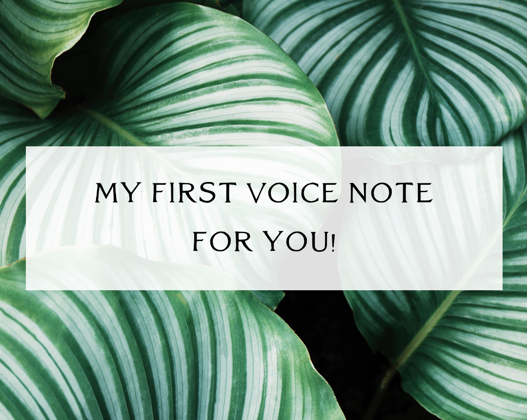 Audio Note ~ About my Channeling Experience: Meeting my Future Self on the New Earth