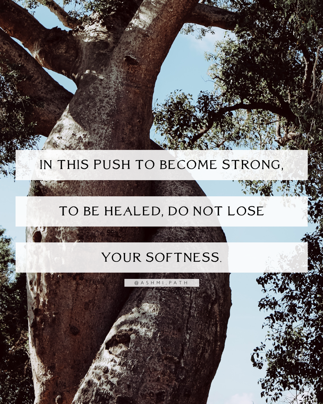 On Strength and Softness