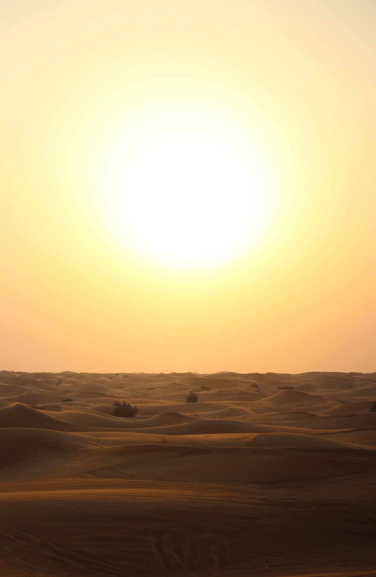 Audio Note ~ Seeing Yourself as the Light + Walking into Union + My Wedding