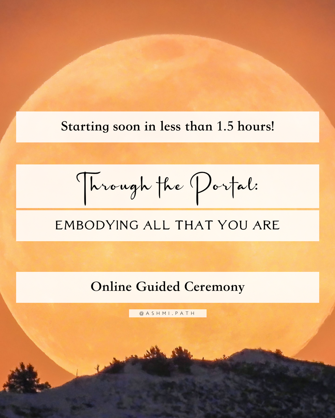 Through the Portal: Embodying All That You Are ~ Watch the Recording