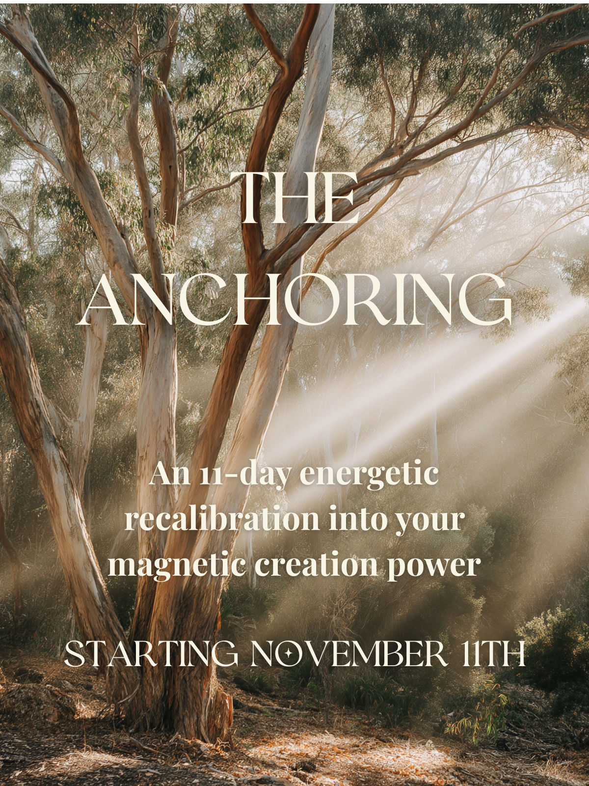 Announcing my new transmission: The Anchoring!