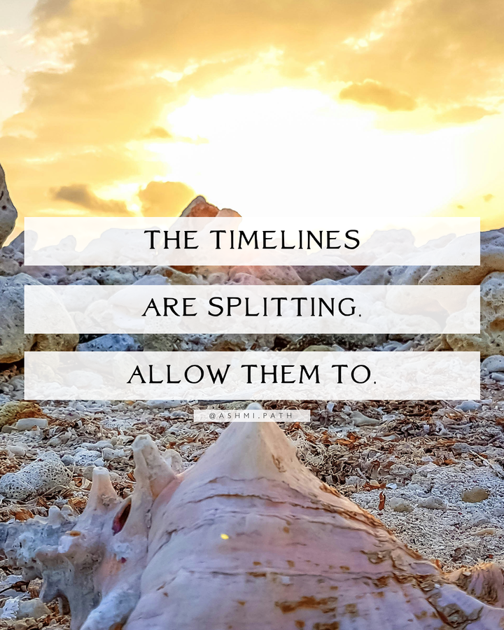 The Timelines are Splitting ~ Allow Them to