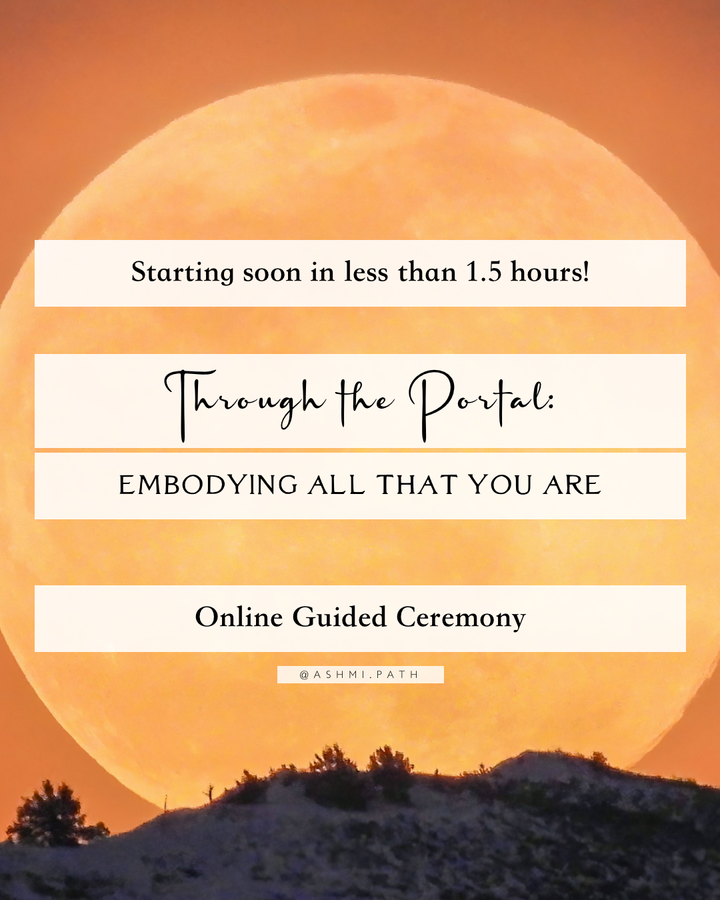 Through the Portal: Embodying All That You Are ~ Watch the Recording