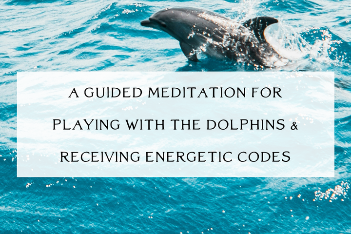 Guided Meditation: Receiving New Earth Codes & the Dolphin Frequency [Audio for Paid Members]